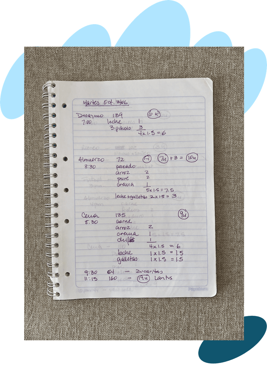 Handwritten diabetes logbook notebook from 2006